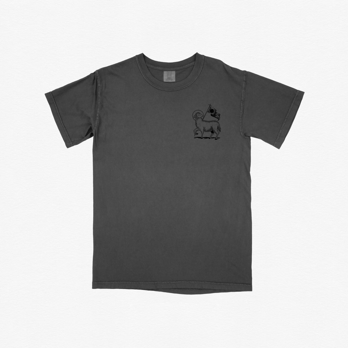 Behold the Lamb of God Tee
